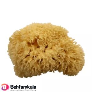 اسفنج طبیعی ماکو