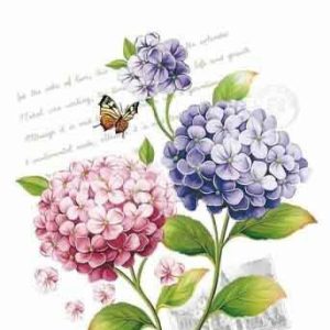 کلای ترانسفر مای هابی کد 36