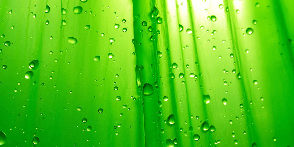 رنگ سبز: سبز سمبلی از طبیعت، سلامتی و رشد