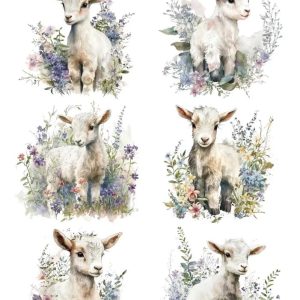 ترانسفر آبی My Hobby کد 438