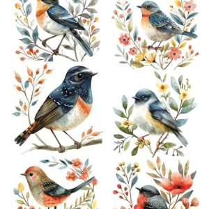 ترانسفر آبی My Hobby کد 481