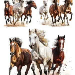 ترانسفر آبی My Hobby کد 482
