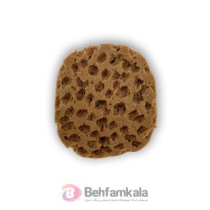 اسفنج پتینه 1